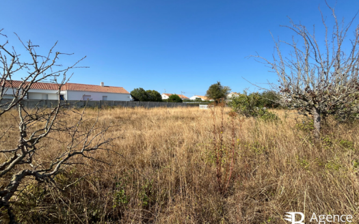 Terrain – Saint Hilaire De Riez