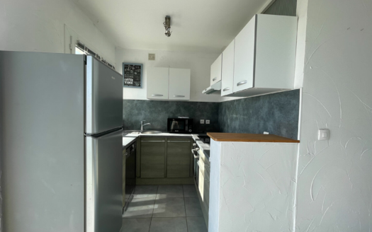 Appartement Saint Jean De Monts 3 pièce(s) 55.30 m2