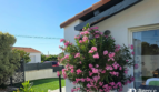 Maison Saint Gilles Croix De Vie