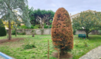 Appartement – PROCHE CENTRE ET GARE